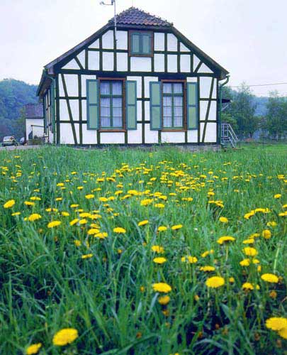 Bild 38